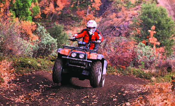 1998 SUZUKI 500 QUADRUNNER | Suzuki comes back in a big way with